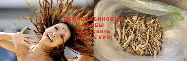 эйфоретик Краснослободск