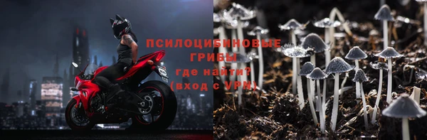 эйфоретик Краснослободск