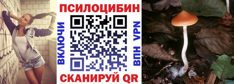 Псилоцибиновые грибы мицелий  Шагонар 
